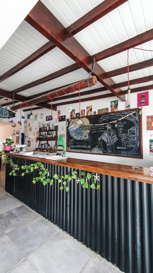 Roots Backpackers Hostal *